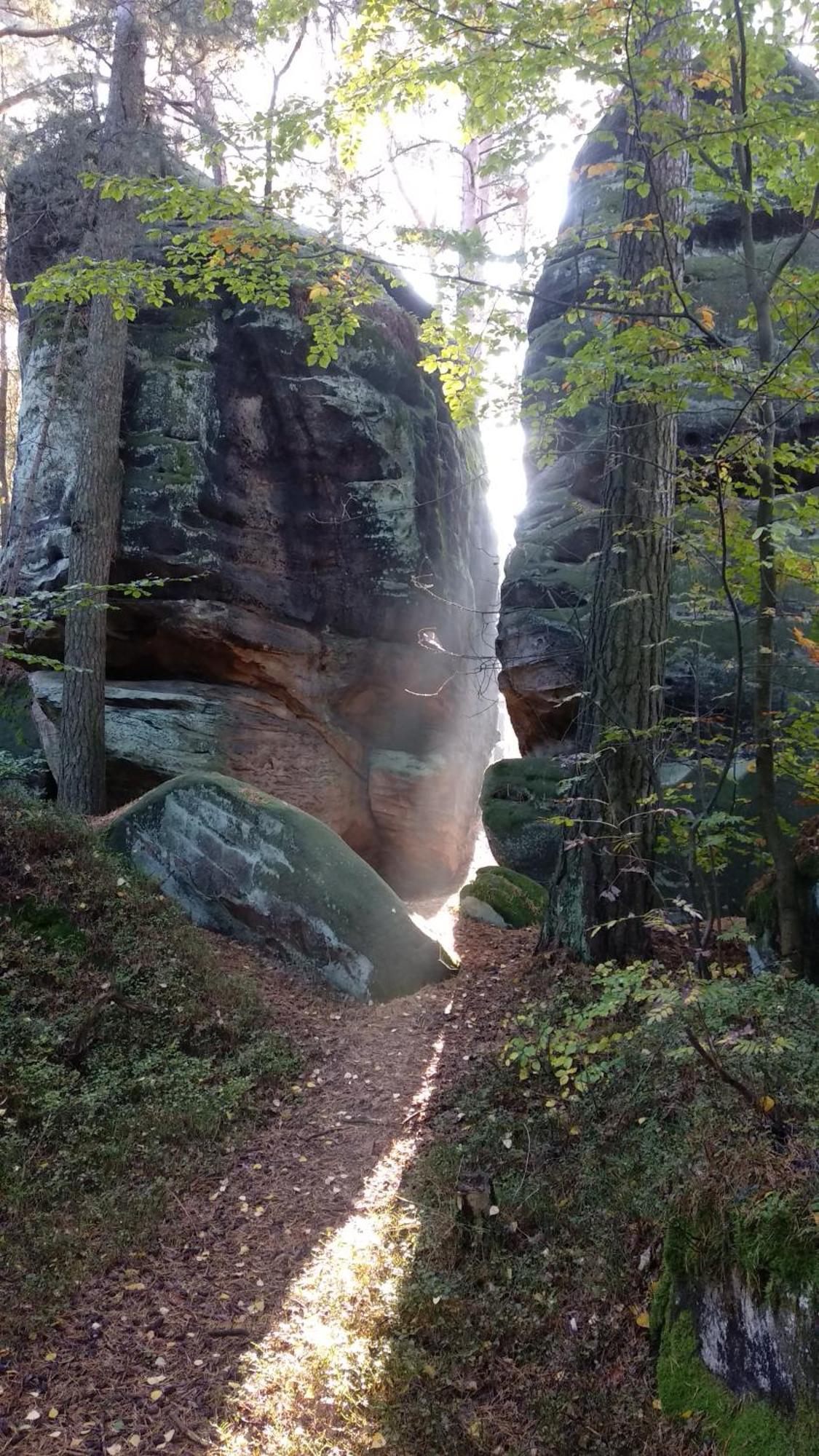 U Studanky Lägenhet Koberovy Exteriör bild