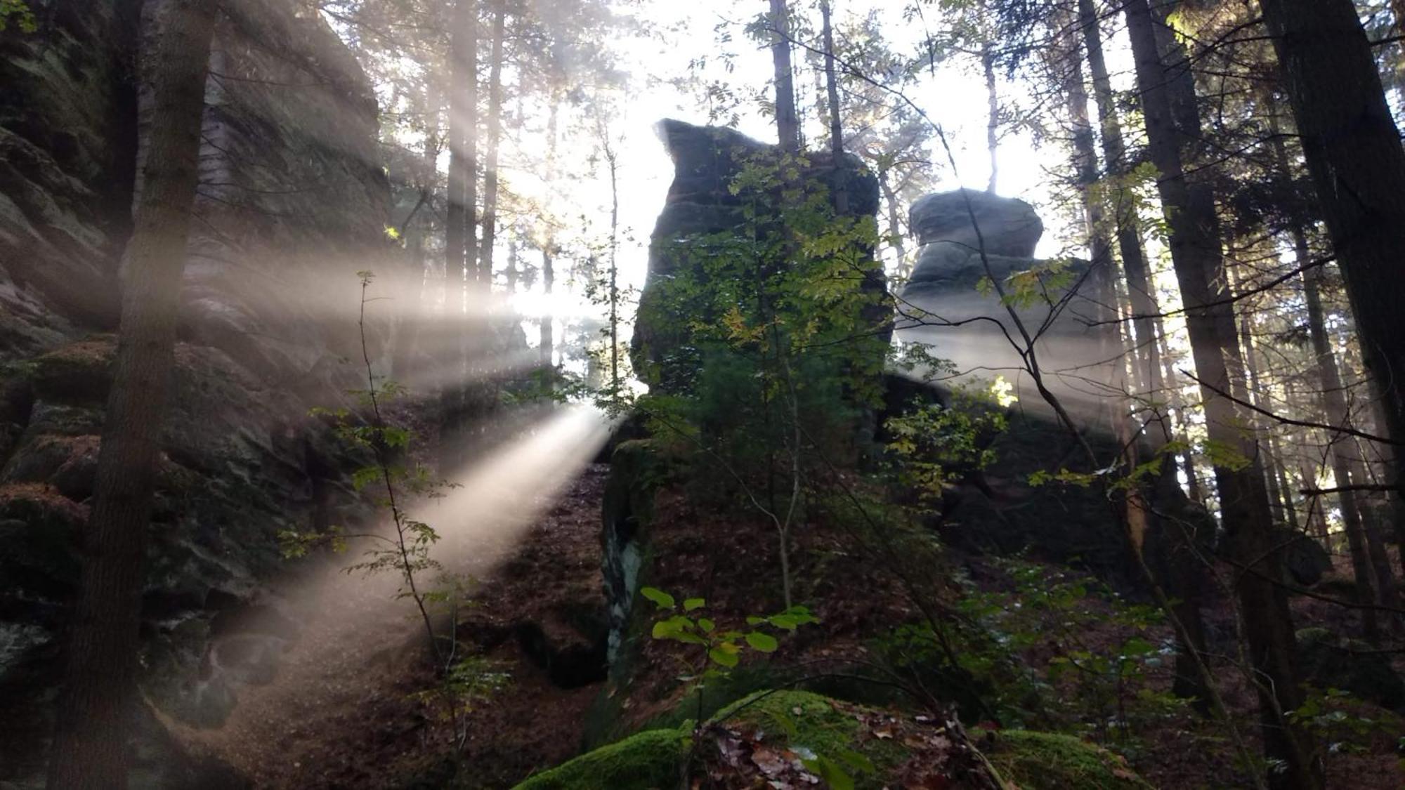U Studanky Lägenhet Koberovy Exteriör bild